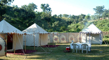 India-Rajasthan-Aravalli Safari in Rajasthan